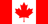 CAD flag